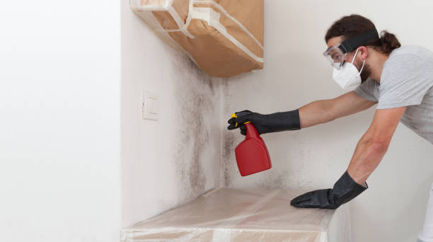 Professional Mold Removal technician working in Canton, IL