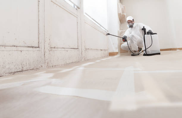 24/7 Emergency Mold Removal experts in Canton, IL
